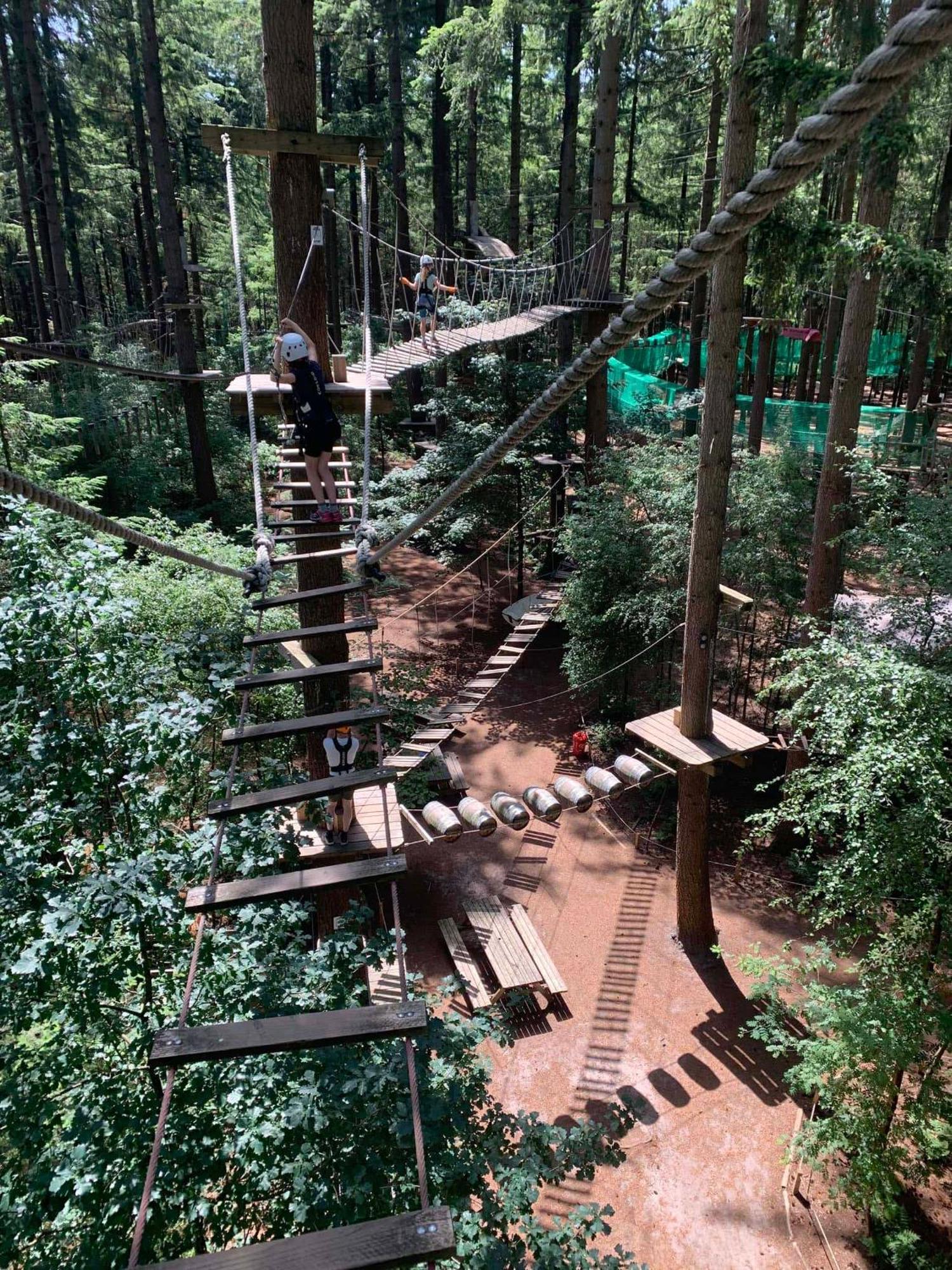 Top Luxe Chalet - Kindvriendelijk - Bos En Heide 哈尔德韦克 外观 照片