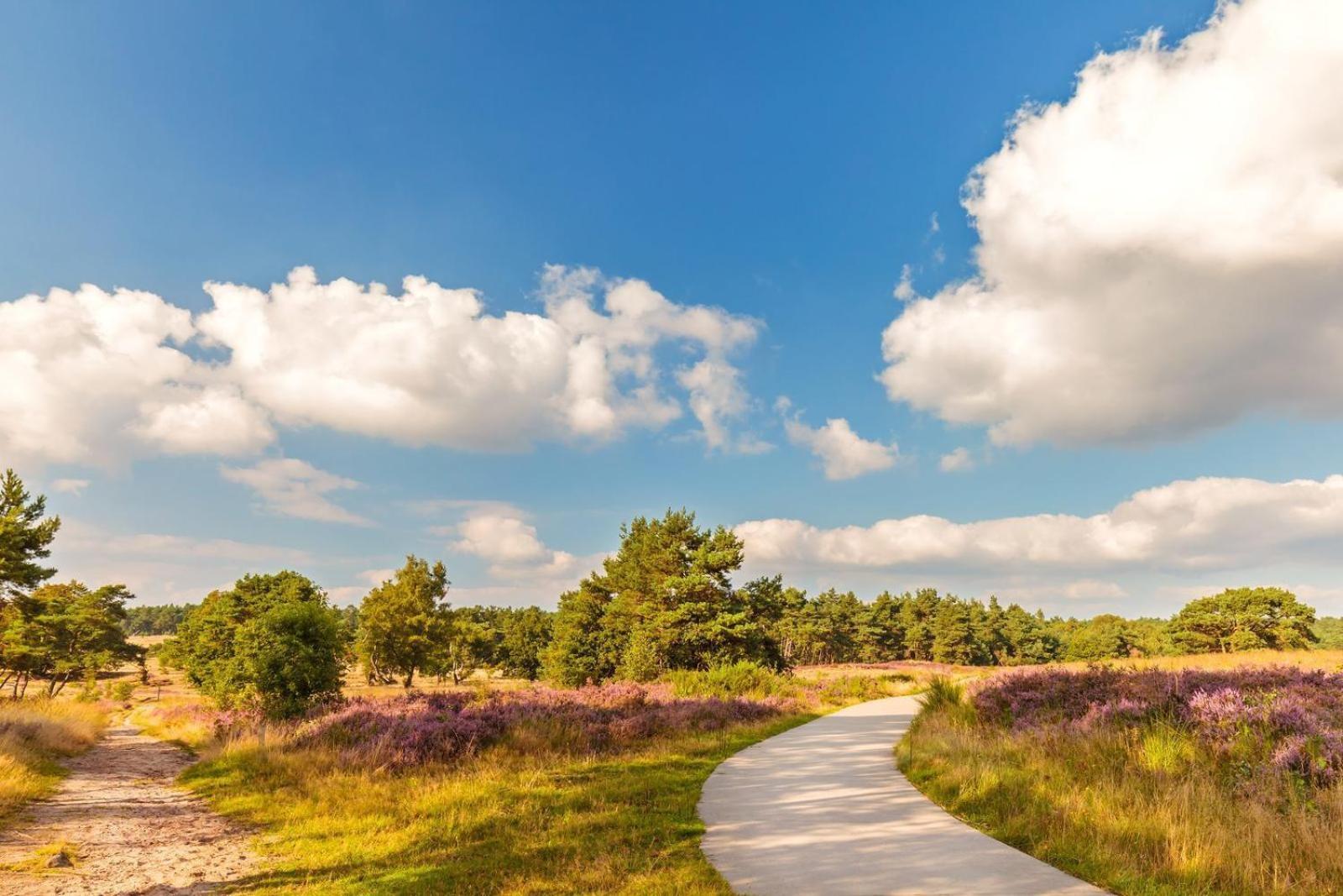 Top Luxe Chalet - Kindvriendelijk - Bos En Heide 哈尔德韦克 外观 照片